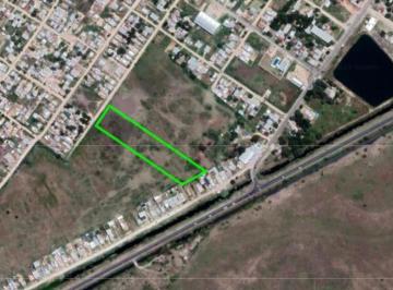 Terreno · 10000m² · Terreno en Venta - 10000 m² - Berisso