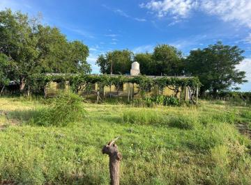 Campo · 28ha · Finca en Produccion Viñedos Chapanay