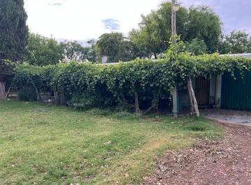 Campo · 20ha · Venta Finca en Produccion Chapanay