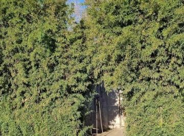 Terreno · 215m² · Venta de Lote - Cruce Ruta 25 y Ruta 24 Moreno