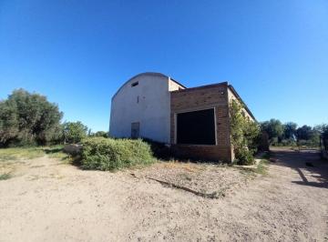Campo · 700ha · Bodega de 600 Mil Litros en San Martín