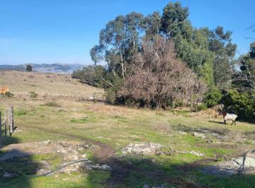 Terreno · 1600m² · Terreno en Venta - 1.600 m² - Tandil