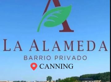 Terreno · 683m² · Lote 700 m² "La Alameda"
