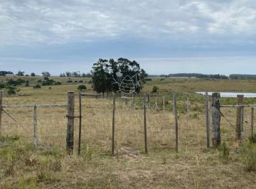 Foto1 · Campo Ganadero - Agricola
