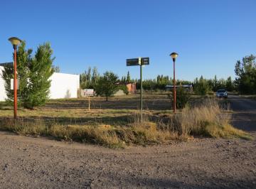 Terreno , General Fernández Oro · Terreno de 1000 m² Apto 2 Unidades Funcionales