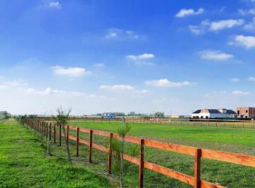 Terreno · 2000m² · Terrenos en Venta - 2.000 m² - Campos de La Enriqueta