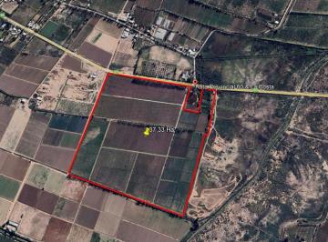 Campo , Maipú · Venta de Finca en Rp 60 - Barrancas, Maipú