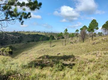 Campo , Santa María · Venta de Campo en Pampa Alta, San Clemente