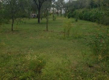 Foto · 750 m² en Malagueño