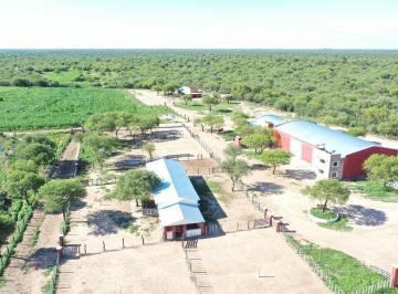 Campo · 1500m² · 4 Ambientes · Campo 123 Ha Feedlot Villa de Soto