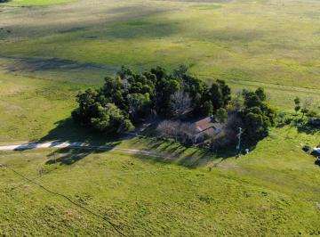Terreno · 1040000m² · Campo en Chascomus