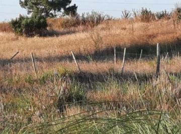 Campo · 44800m² · Campo en Venta - 44.800 m² - General Madariaga