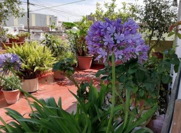 Casa de 4 ambientes, Avellaneda · Apto Credito Casa Triplex 4 Ambientes con Cochera y Terraza Propia. No Paga Expensas