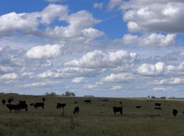 Foto1 · Campo Agricola - Ganadero