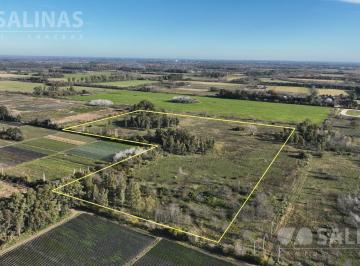 Campo · 120000m² · Chacra en Zona Polera de Pilar