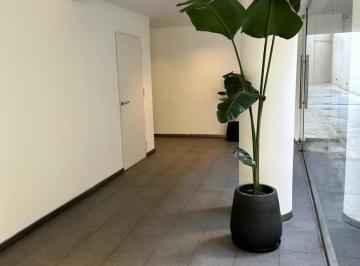 Departamento · 30m² · 1 Ambiente · Paternal - 1 Amb Al Frente con Balcon - San Martin Al 2100