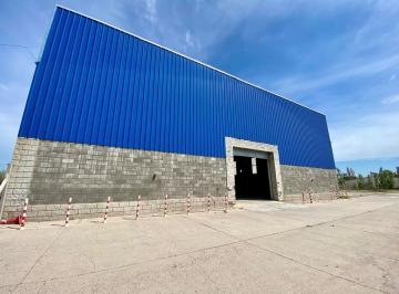 Bodega-Galpón · 1750m² · Alquiler Galpon Sobre Ruta Allen