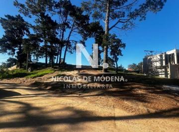 Foto1 · Terrero en Venta de 1540 m² en Piedras del Chileno a 100 m del Mar