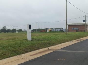 Terreno · 295m² · Terreno en Venta Docta Central