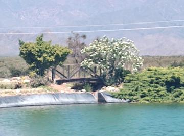 Campo , La Consulta · Viñedos en Altamira - Valle de Uco