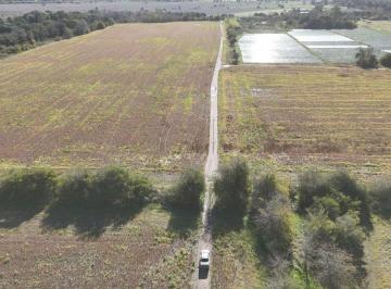 Campo · 140ha · Campo de 31,5 Ha a 3000 m de Ruta 2. El Pato