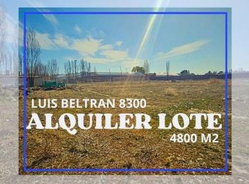 Terreno · 4800m² · Alquiler Lote Comercial Sobre Calle Luis Beltran