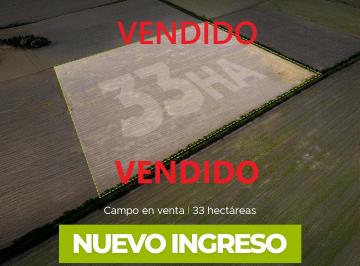 Campo , Lehmann · Lehmann 33 Has Agrícolas. Campo en Venta