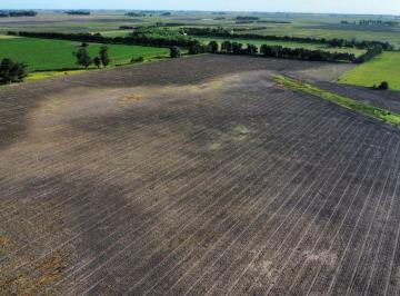 Campo en Venta   · Campo de 33 Has, Ideal Inversionistas Sobre Rp 41, Gral. Belgrano.