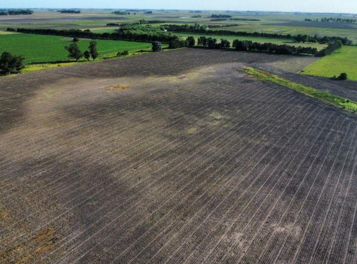Campo · 1m²