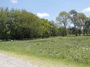 Terreno · 1500m² · Terreno Lote en Venta en Barrio Parque Sakura, Exaltación de La Cruz, G. B. a. Zona Norte