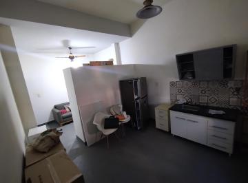 Departamento · 24m² · 1 Ambiente · Departamento Monoambiente en Villa Raffo