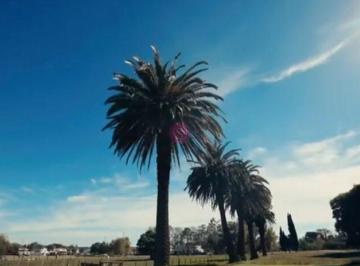 Terreno · 810m² · Terreno Lote en Venta en Estancia Carabassa, Pilar, G. B. a. Zona Norte