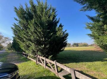 Terreno , Zárate · Excelente Lote Central en Puerto Panal