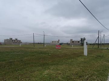 Terreno · 600m² · Terreno en Docta 1