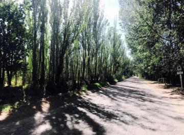 Quinta vacacional · 80000m² · De Remateee... 8 Ha Rama Caida Antes 130 Mil - Ahora 95 Mil!