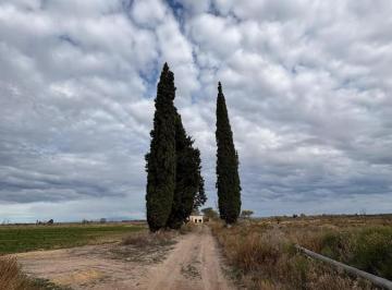 Campo · 83071m² · Finca en Blanco