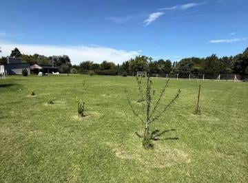 Terreno · 1800m² · Terreno en Venta - 1.800 m² - Exaltación de La Cruz