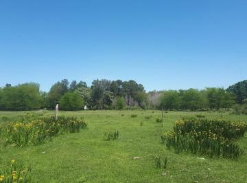 Terreno · 12000m² · Espectacular Quinta de 12.000 m² en Ingeniero Maschwitz