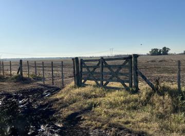 Campo · 1890000m² · Cañuelas. 189 Has de Campo Mixto en Venta