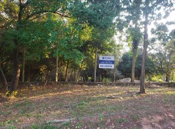 DBR-DBR-1594_2 · Lote. | Yvy Anguy Primera - San Bernardino