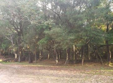 DBR-DBR-1601_2 · Lote. | Yvy Anguy Primera - San Bernardino