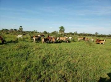 DBR-DBR-1747_2 · Campo 2550 Hectáreas |. | Tte. Domingo Martinez de Irala
