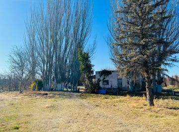Campo · 250000m² · Av General Paz - Villa Regina - Rio Negro