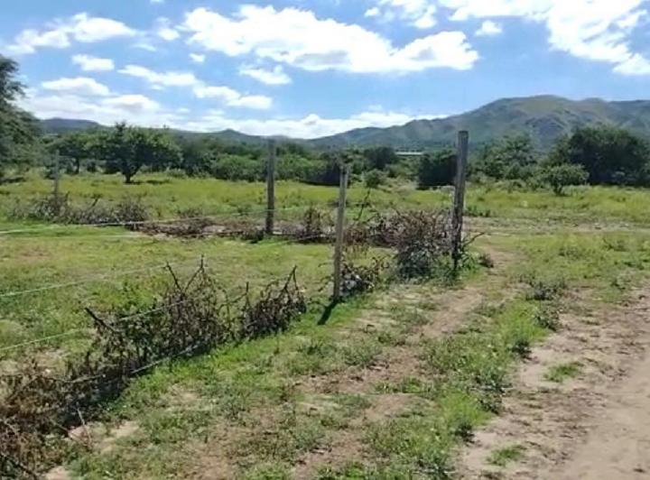 Terreno · 1046m²