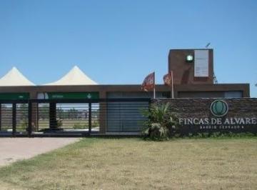 Terreno · Lote a La Venta en Fincas de Alvarez