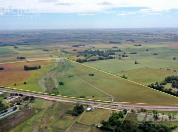 Campo · 1230000m² · Campo Sobre Ruta 8 en Sarmiento