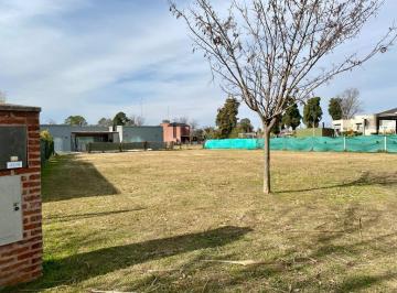 Terreno · 749m² · Terreno - San Matias - Venta