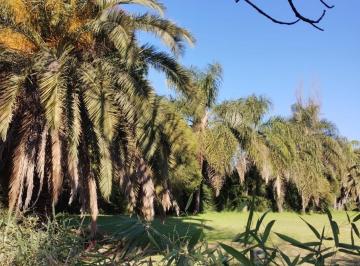 Terreno · 1000m² · Terreno en Alquiler