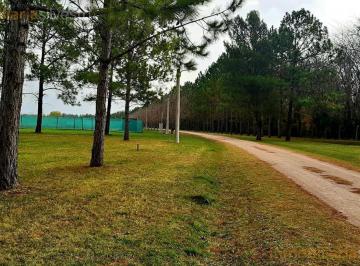 Terreno · 2160m² · Campos de Roca II Brandsen - Lote en Venta