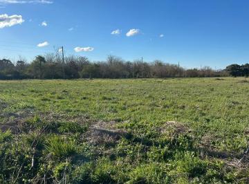 Terreno · 646ha · Lote. | 403